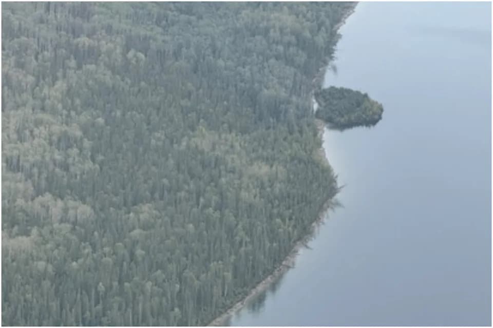 Mystery Solved: Tree-Topped Floating Island Found Drifting 30 km Across B.C.'s Williston Reservoir