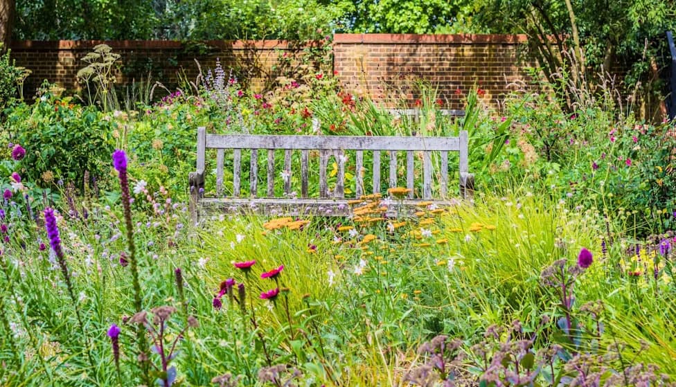 New England Towns Try Less Mowing and Rooftop Gardens to Bring Back the Rusty Patched Bumblebee