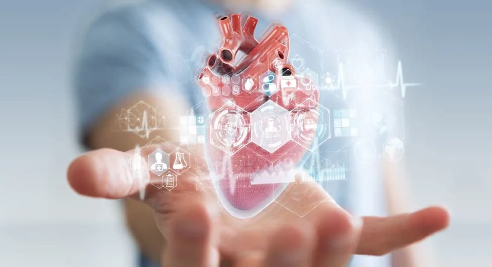 FDA Clears Heartvue.Proton AI For Cardiac MRI, Enabling Faster Quantitative Analysis