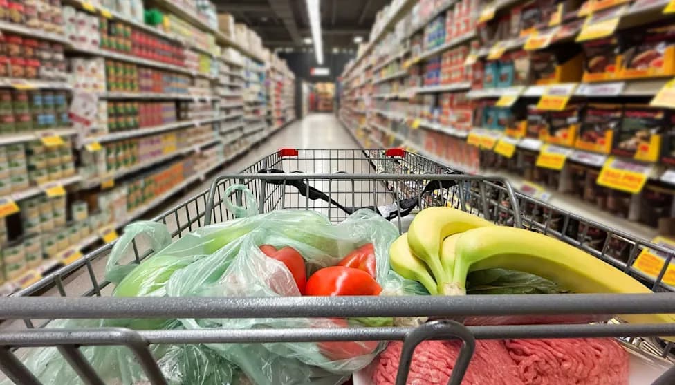 ‘That’s All I Got’: $95 Grocery Haul Sparks Outcry Over Rising Food Costs