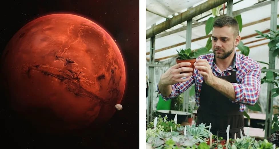 Botanist Recreates Martian Soil and Grows Real Crops — Kale Even Thrives
