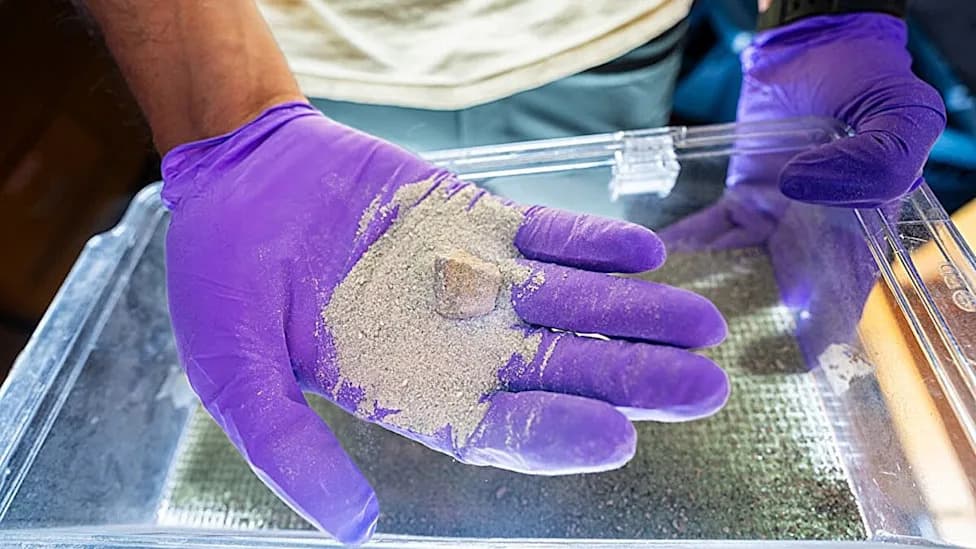 Engineered Bacteria Could Speed Rock Weathering to Remove More CO2 — Early Research Shows Promise