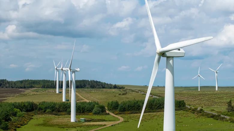 Blade-Mounted 'Silent' Whistles Could Dramatically Reduce Bat Collisions at Wind Turbines