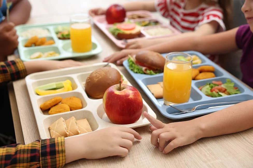 Nearly 2,000 Sickened After Eating Indonesia’s Free School Meals; Authorities Investigate MBG Program