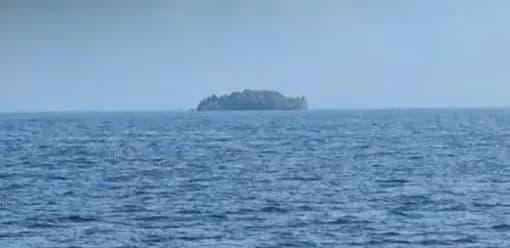 Mysterious Tree-Covered 'Island' Floats on B.C. Reservoir — Then Disappears