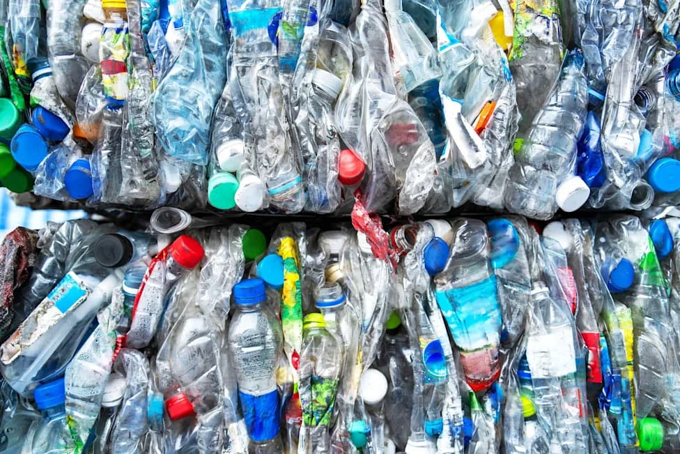 Meet µBites: Scientists Turn PET Plastic And Plant Waste Into An Edible Cookie