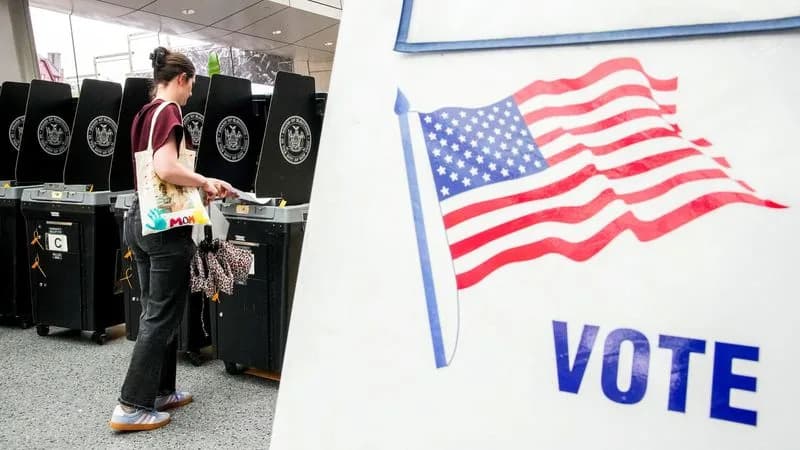 Appeals Court Upholds Ban On DHS 'SAVE' Database For Voter Citizenship Checks Ahead Of Midterms
