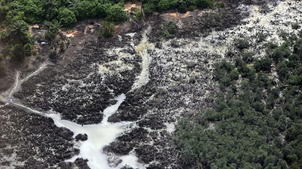 Oil-Loading Spill Coats Nembe Creek and Mangroves; Communities Demand Rapid Cleanup and Compensation
