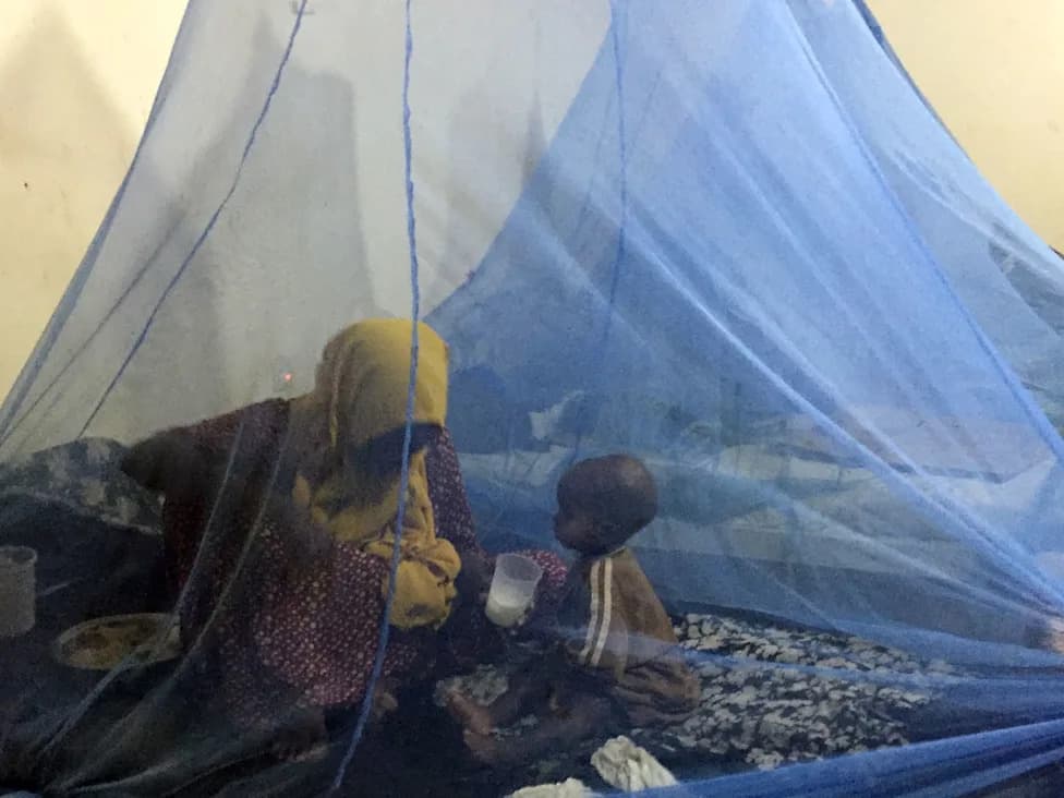 Somalia Faces Renewed Humanitarian Crisis as El Niño Threatens Floods, Disease and Food Shortages