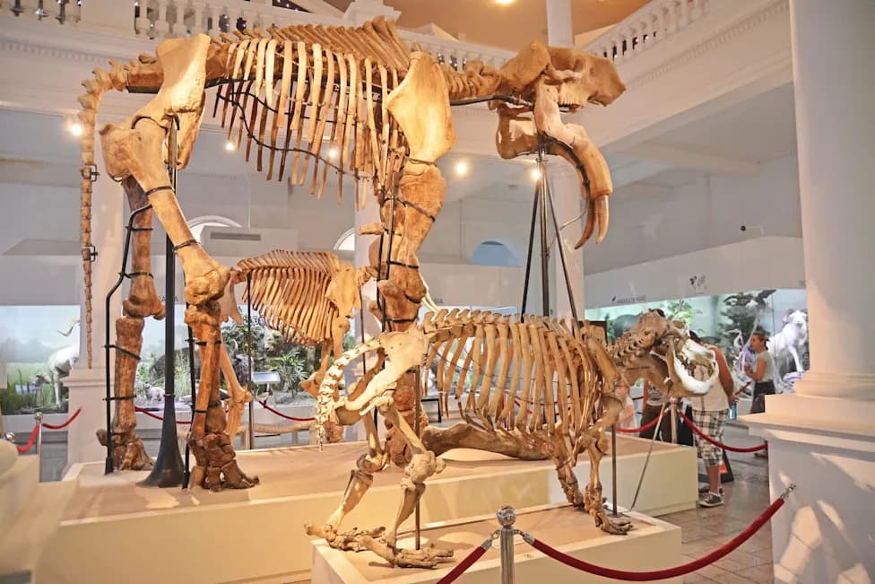 Superworms Strip Flesh From Skeletons in Hours — A Faster, Low‑Risk Tool for Museums