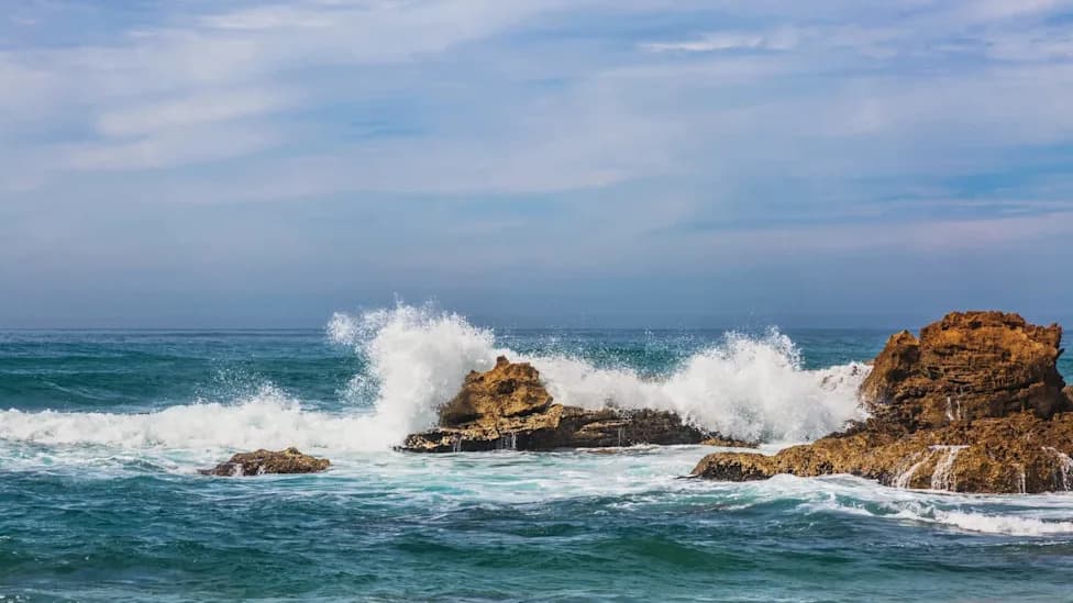 Global Sea Surface Temps Hit Record 70°F on Unusual August Date — Scientists Alarmed