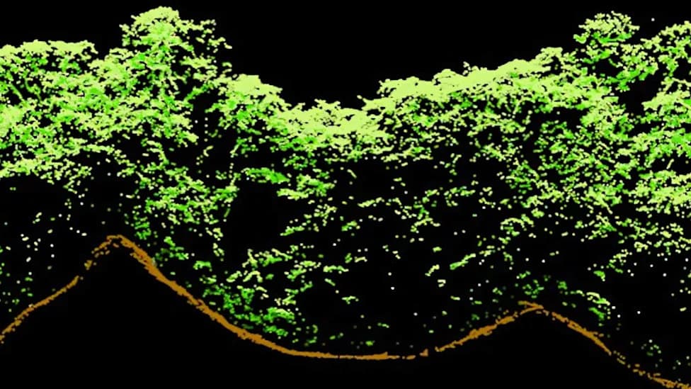 Ancient Maya Footprints Still Shape Belize Rainforest Canopy, LiDAR Study Finds