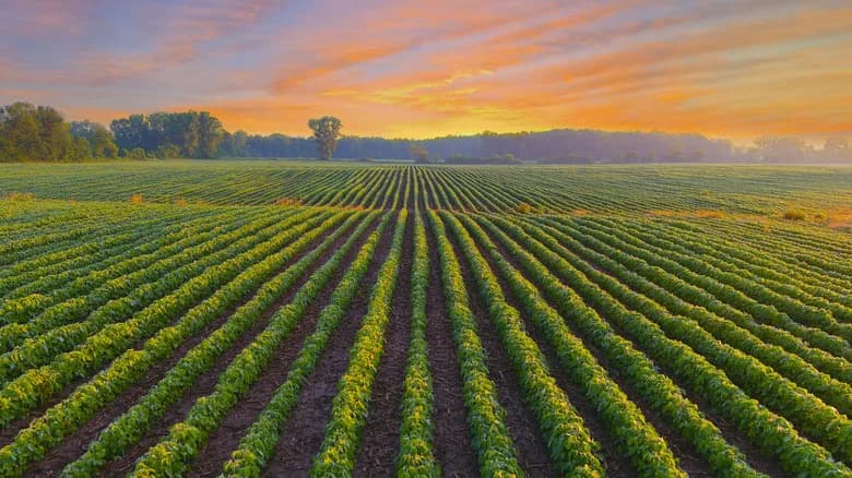Pennsylvania Farmer Rejects Nearly $16M Offer for AI Data Center — Chooses Conservation