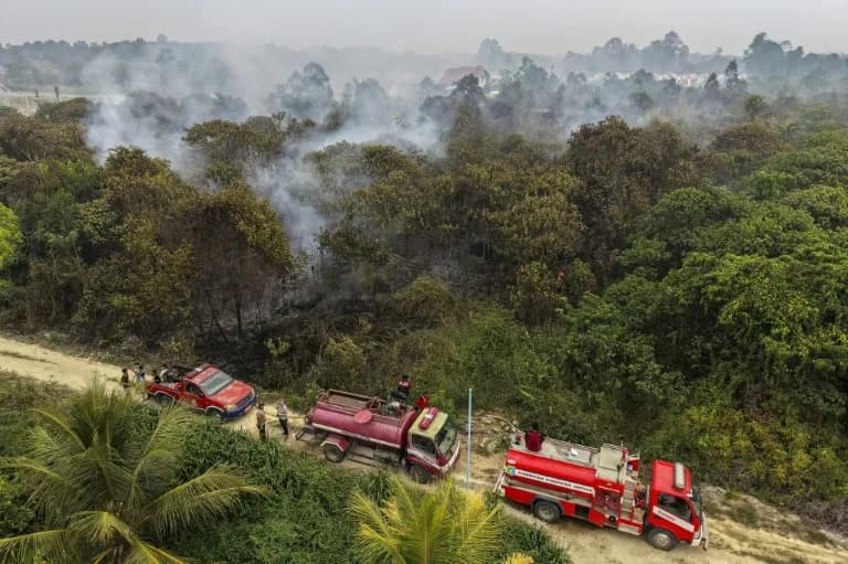 Borneo Blazes Overwhelm Firefighters as Toxic Haze Chokes Cities