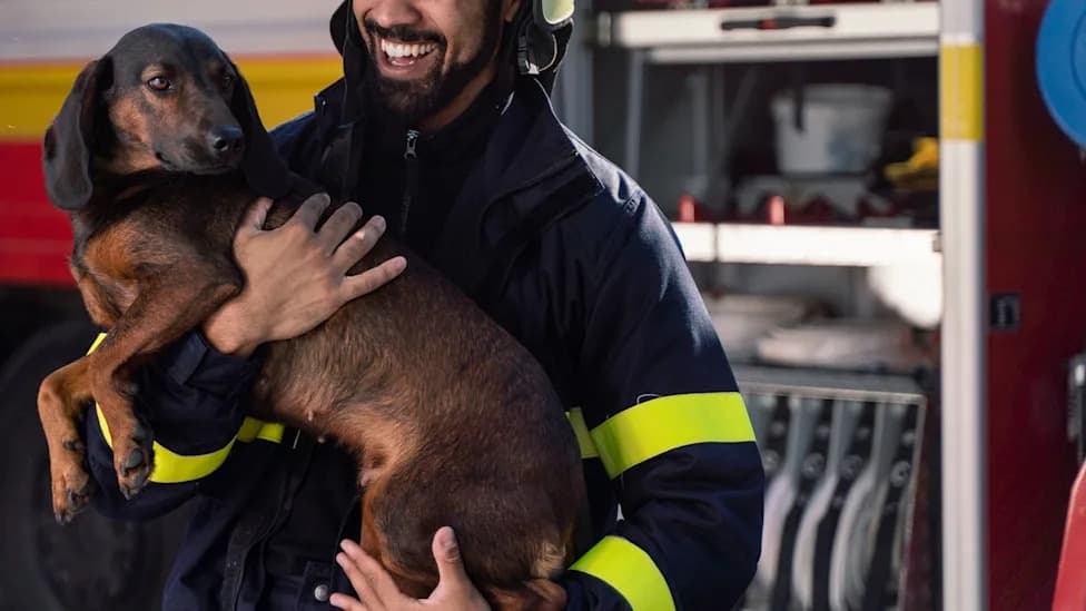 17-Year-Old Dog Survives 10-Foot Fall — Firefighters Rescue Rocky in Thessaloniki