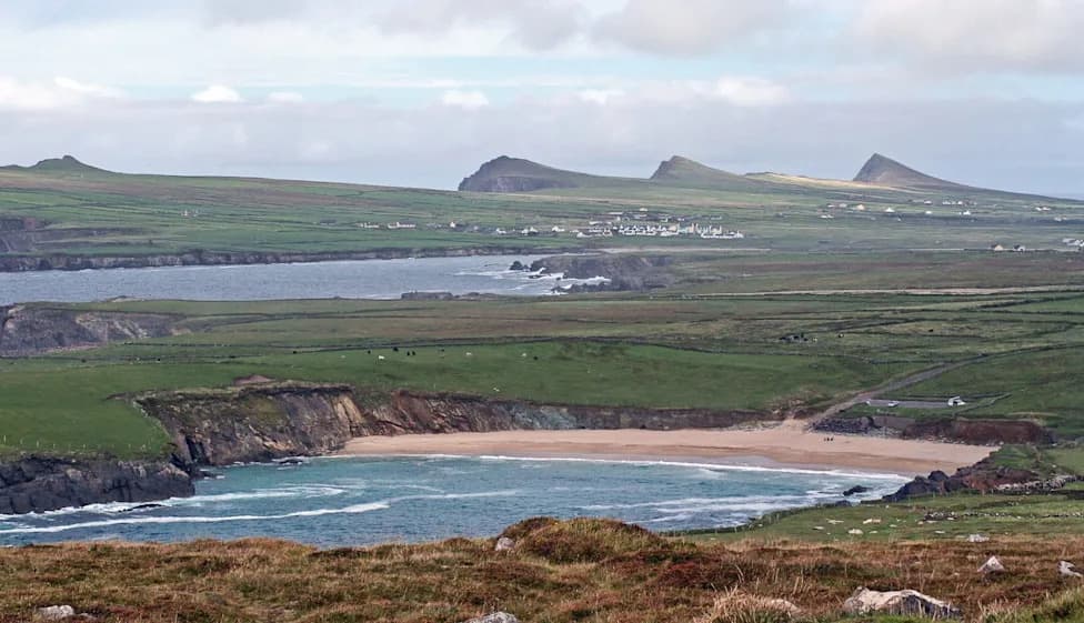 6,500-Year-Old 'Kerry Cow' Bones Reclassified As Bear And Wild Boar, Upending Ireland's Farming Timeline