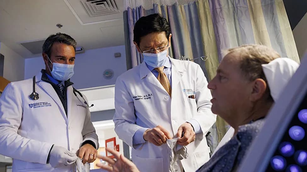 Genetically Modified Pig Kidney Sustains Man for Record 271 Days While He Waited for Human Transplant