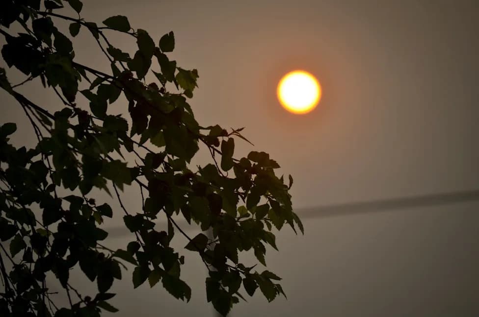 US Days Above 105°F Could Triple as ‘Unlivable’ Heat Nears Human Limits