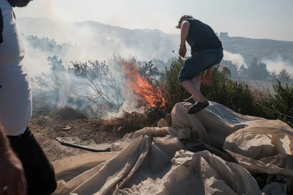 Strong Winds Drive Wildfire in Muğla — Homes and Livestock Evacuated as Crews Battle Blaze