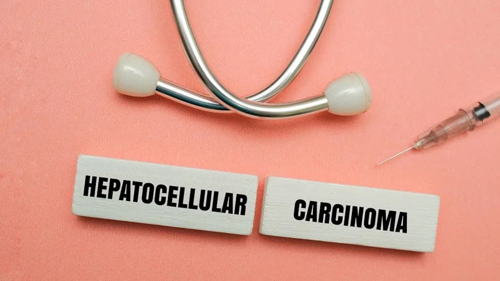 Acepodia Wins FDA Clearance To Launch Phase I Trial Of ACE723 In Advanced Liver Cancer