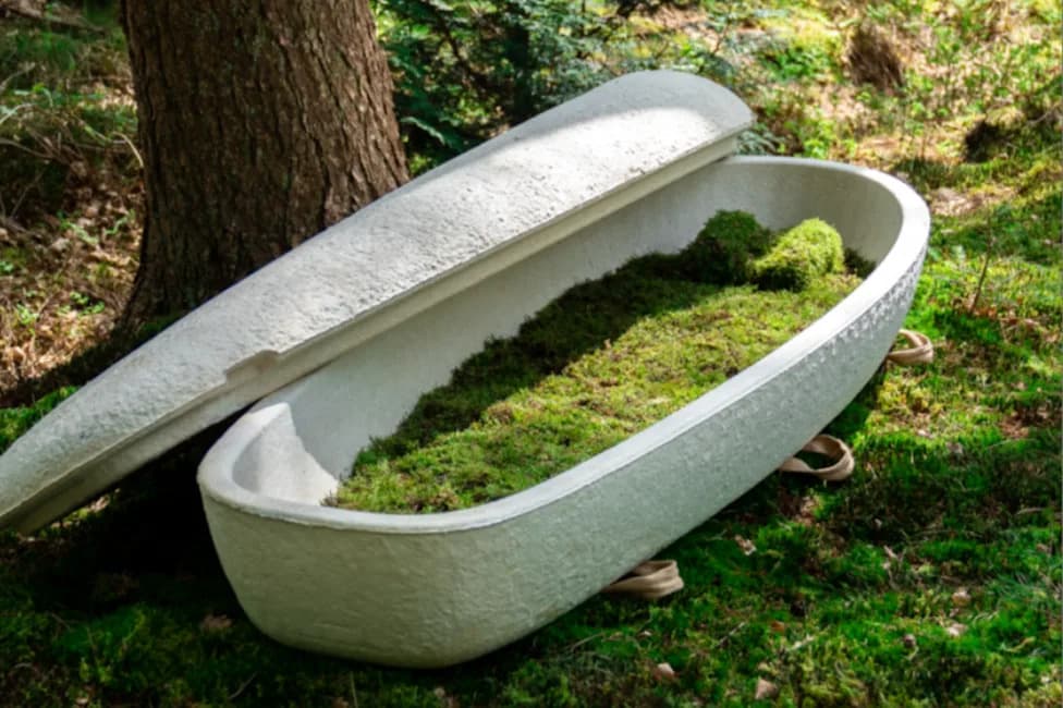 Sydney Woman Becomes First In Australia Buried In Coffin Grown From Mushrooms