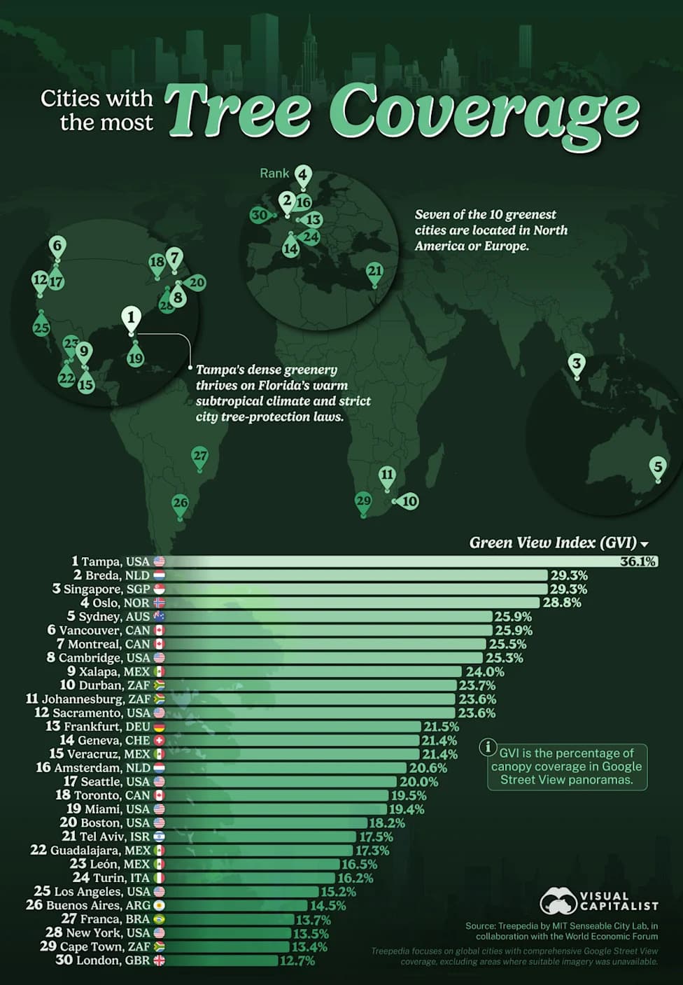 Tampa Tops Global Street-Tree Ranking — Treepedia’s Green View Index Reveals Cities With the Most Visible Canopy