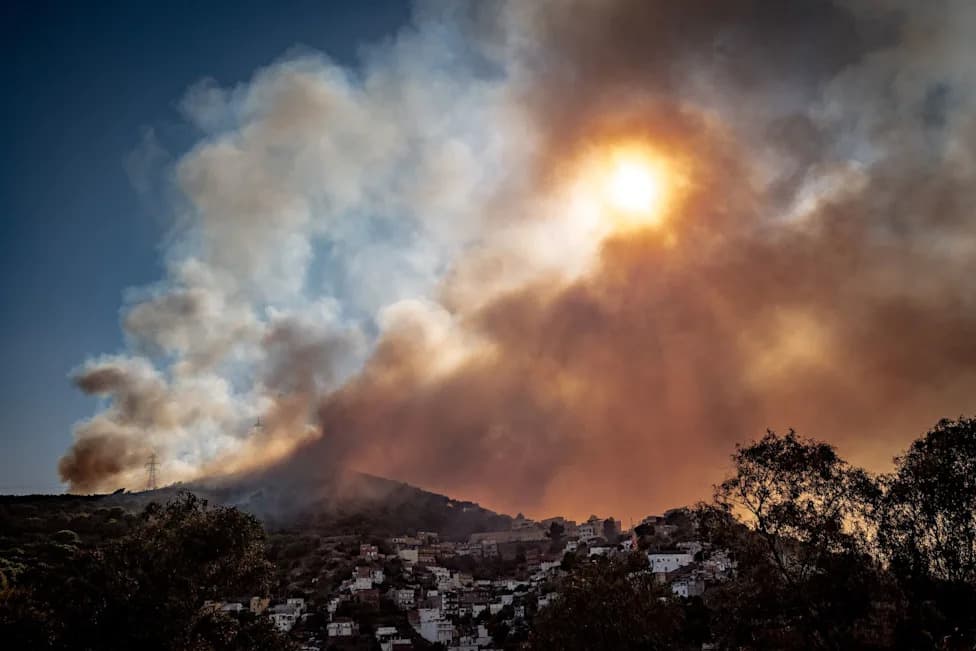 WMO: Heatwaves and Wildfires Are Making Air Pollution Deadlier
