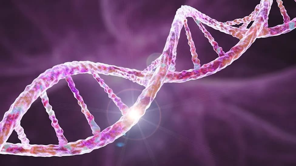 36 High-Impact Genes Linked to OCD and Tourette Disorder — Major Exome Study Reveals Shared Biology