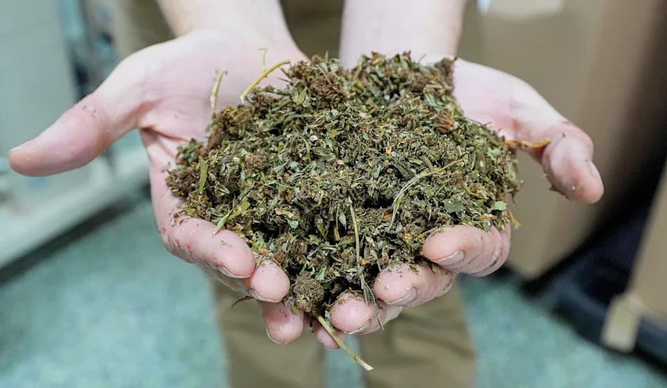 Medicare Pilots CBD Coverage as Congress Moves To Restrict Hemp Products — A Growing Policy Conflict