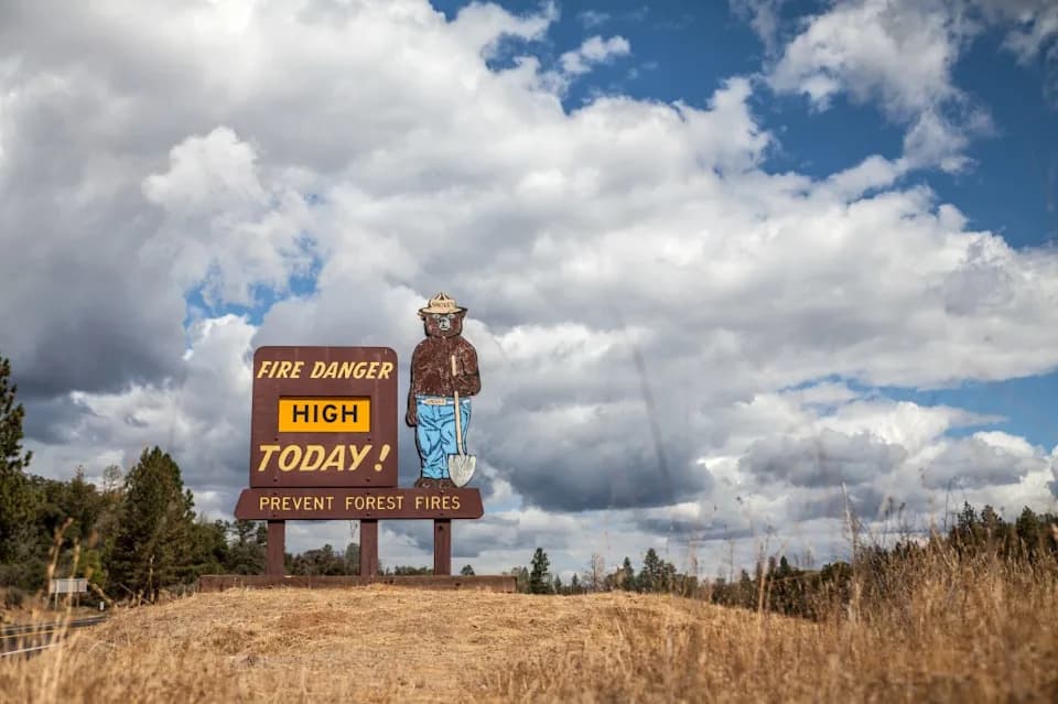 Smokey Bear vs. The Environmental Bandits: How Public Lands Are Being Recast For Development