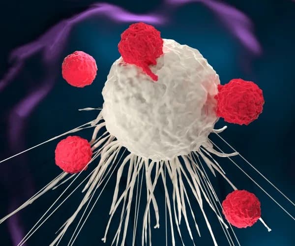 Why Cancer Patients Are Traveling to China for CAR‑T Care — Lower Costs and a Rapidly Advancing Pipeline