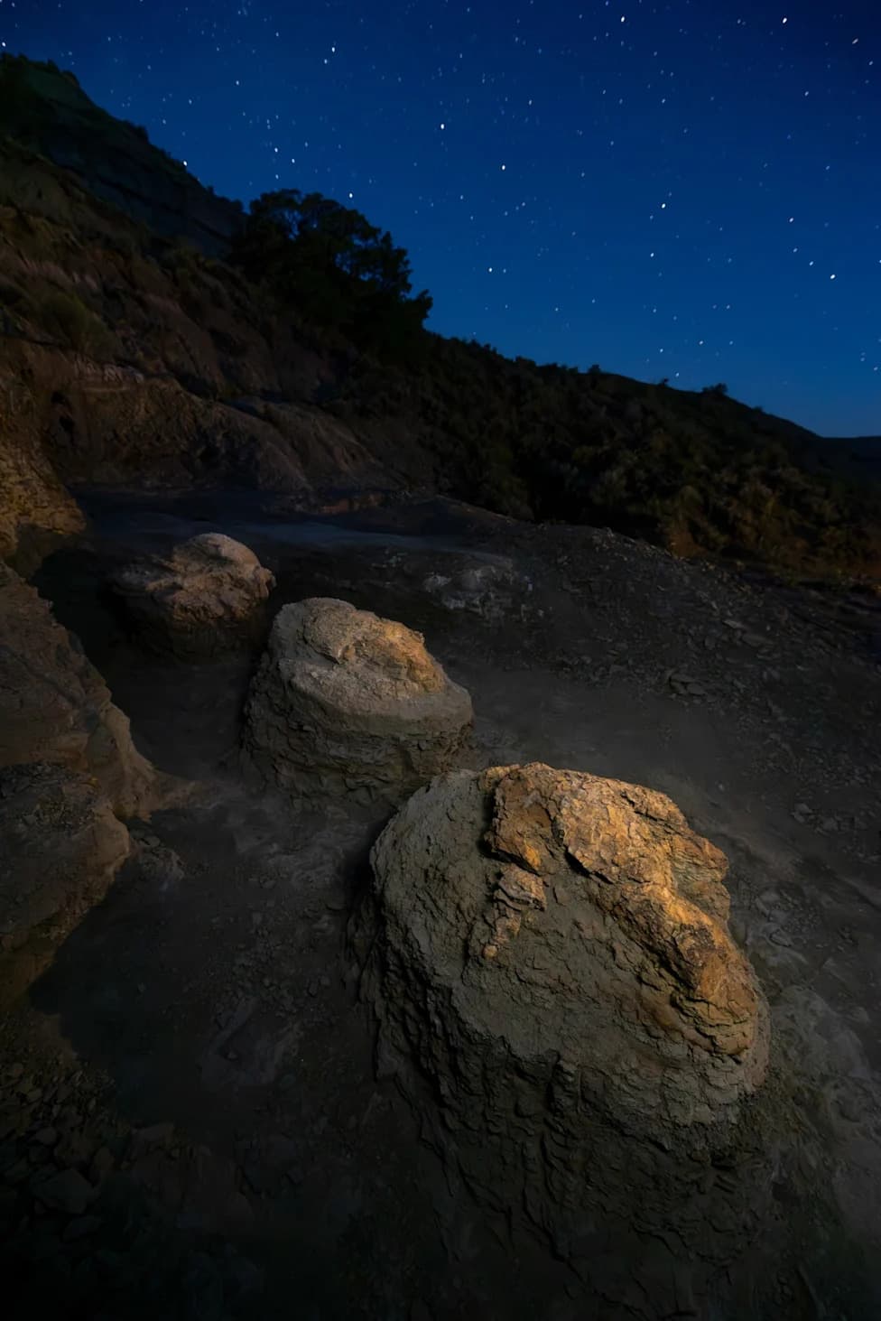 How an Amateur Fossil Hunter Unearthed the First Adult T. rex Trackway in Hell Creek