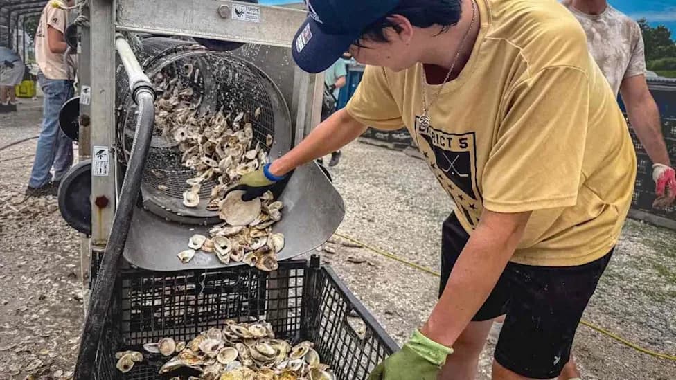 From Trash to Tide: How NYC Turns 3.2 Million Pounds of Oyster Shells Into Living Reefs