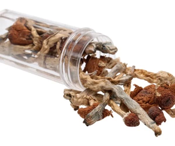 High-Dose Psilocybin Temporarily Restores Speech, Memory and Mobility in 80-Year-Old With Advanced Alzheimer’s