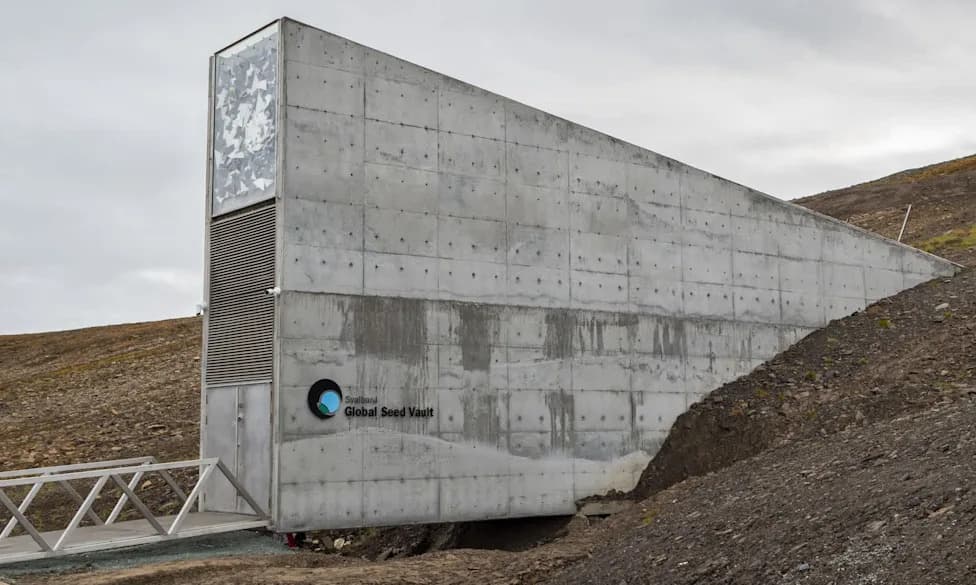 Soil's Hidden Seed Banks Outsize Svalbard Vault — What That Means for Ecosystems and Food Security