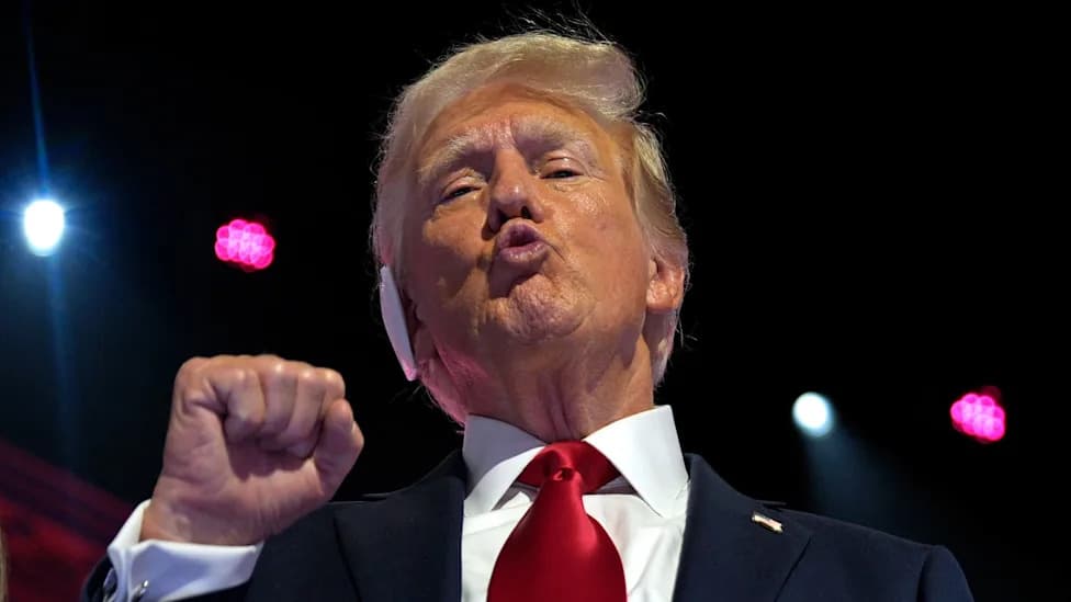 Trump Praises Far-Right AfD After Strong Showing in Saxony-Anhalt, Drawing Criticism