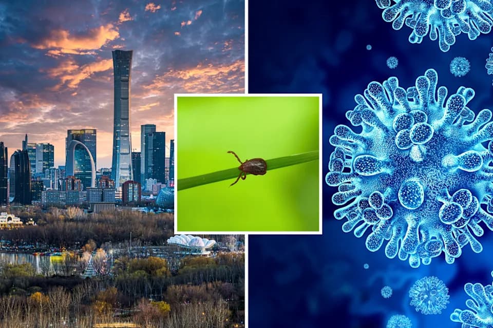 New Tick-Borne Virus Identified in China — ALTNV May Worsen Illness When Paired With Dabie Bandavirus