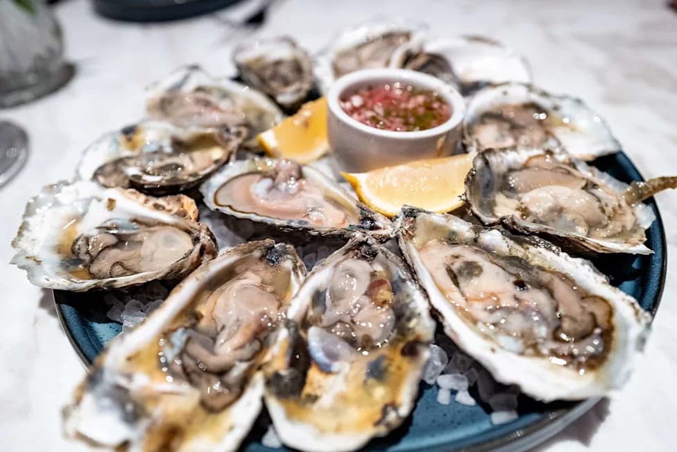 Fourth Florida Death Linked to Vibrio vulnificus Infection Tied to Raw Oysters