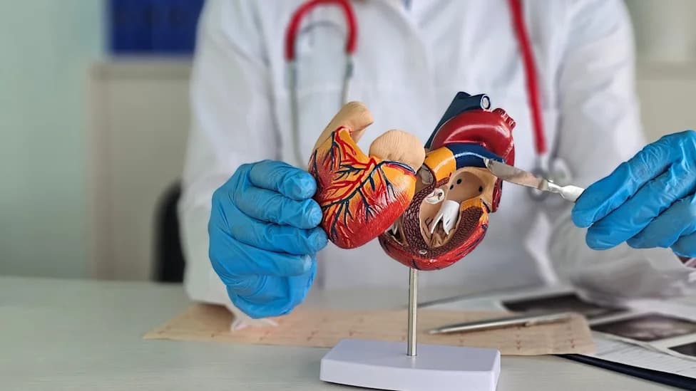 FDA Clears Emboliner Embolic Protection System for TAVR, Backed by Positive Head-to-Head Data