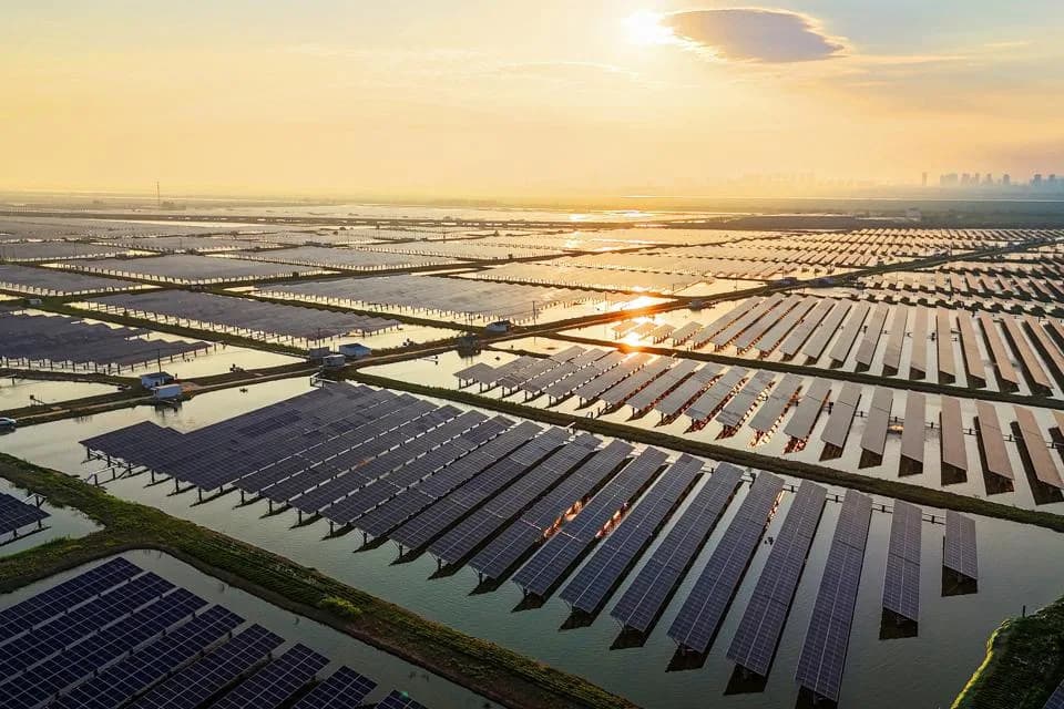 51 Solutions Could Trigger Rapid Planetary Repair by 2030, Study Finds