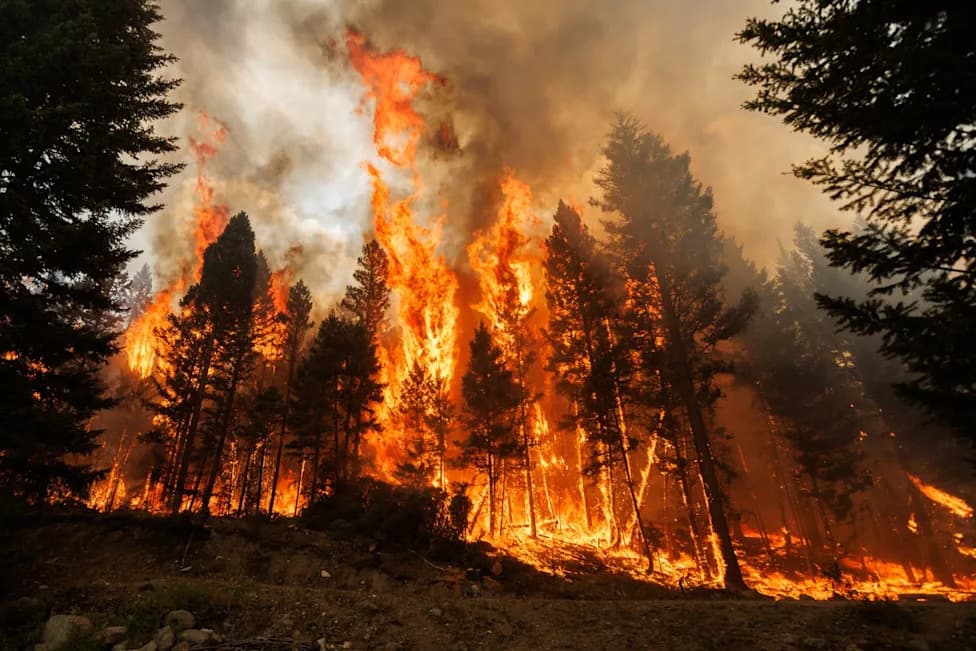 Wildfire Smoke Across North America Is Growing Deadlier — And the Threat Is Rising