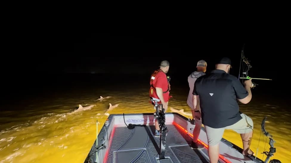 From Nuisance to Nighttime Partners: How a Florida Bowfisher Became Friends With Dolphins