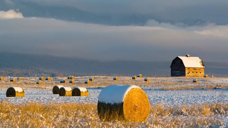 Collapse Of Key Atlantic Currents Could Slash Crops And Send Food Prices Soaring, New Study Warns