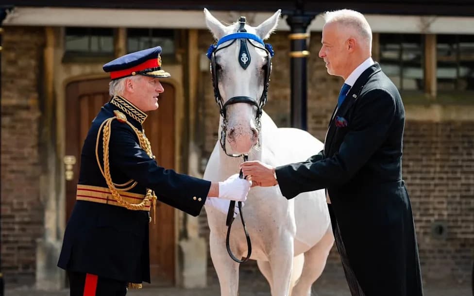 How Two Hungarian Lipizzaners Sparked An Unexpected Diplomatic Furor Over King Charles's Gift