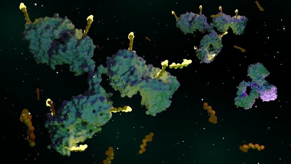 Simpler, More Precise Way To Build Antibody–Drug Conjugates Could Speed Cancer Drug Development