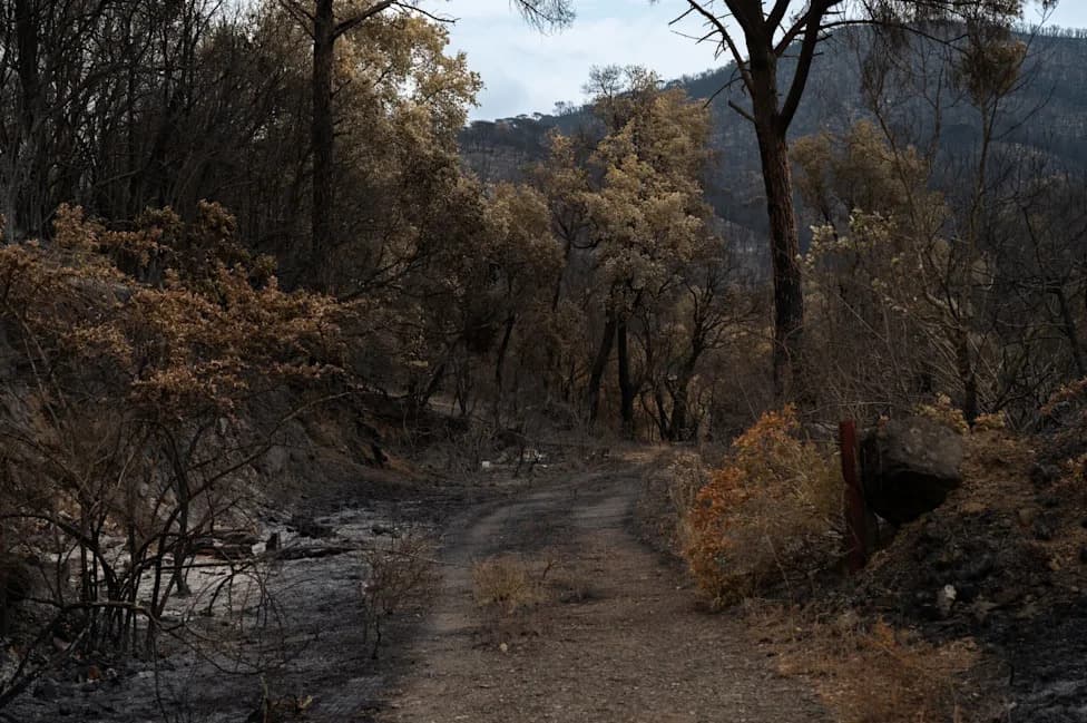 Record Wildfire Season: 54,000+ Fires Scorch 8.5 Million Acres, Straining Communities