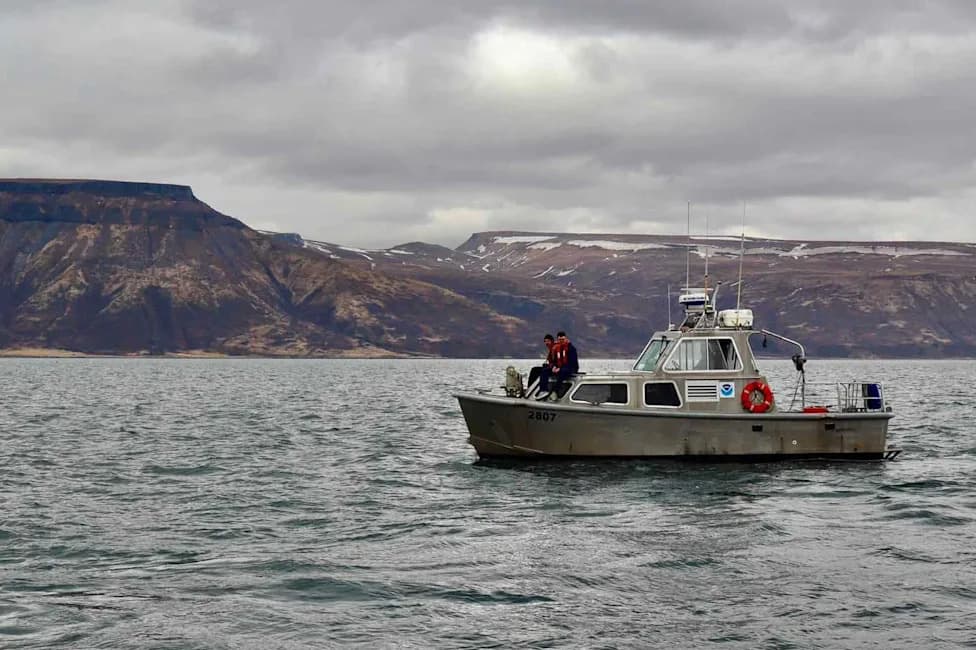 15-Year-Old Survives Days Adrift on Capsized Skiff in Bering Sea; Brother and Cousin Drowned