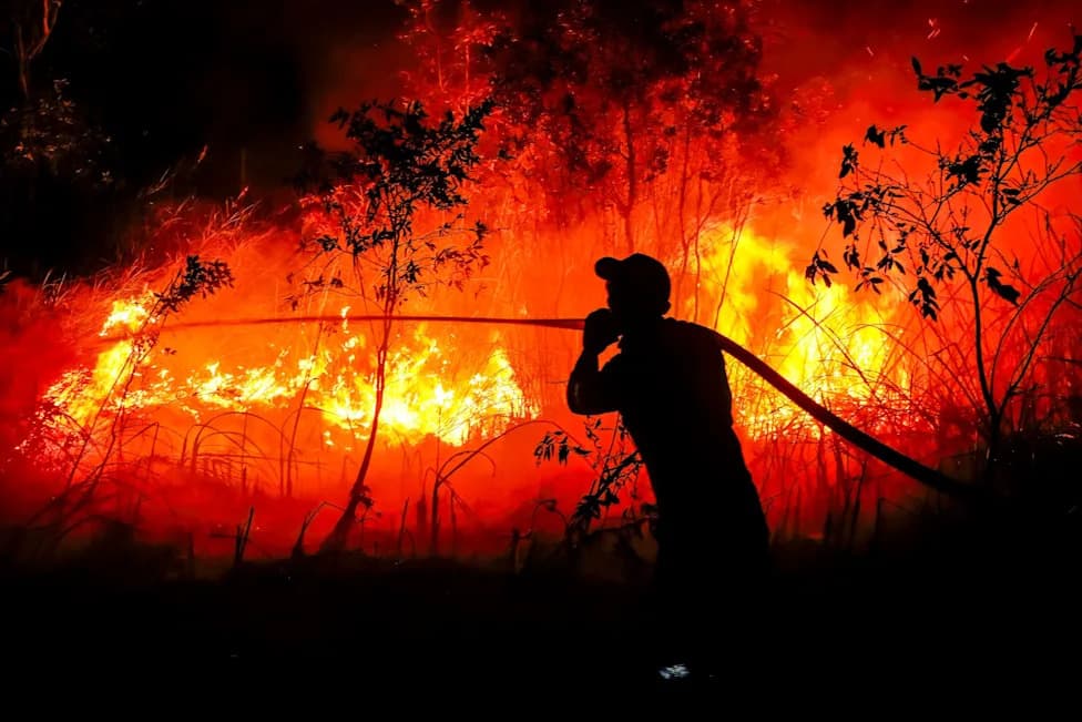 Indonesia Faces Worst Wildfire Season In 11 Years As Strong El Niño Dries Land