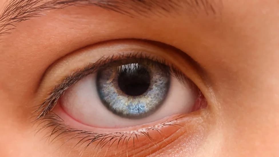 Tiny Pupil Rhythms May Reveal Subtle Attention Differences in Children With ADHD