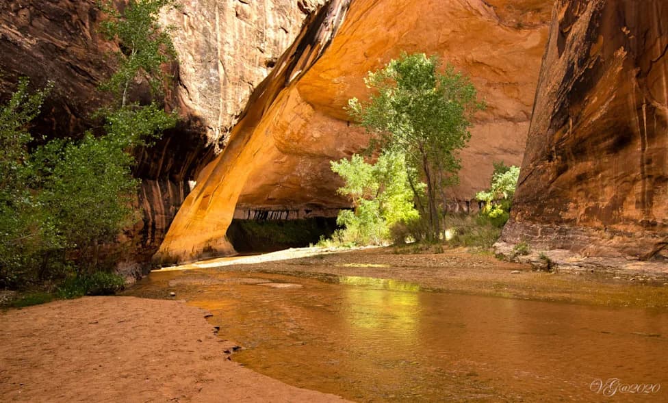 Trump Cuts Grand Staircase Monument by ~90%, Scientists Warn It Threatens Utah’s Rare Dinosaur Record